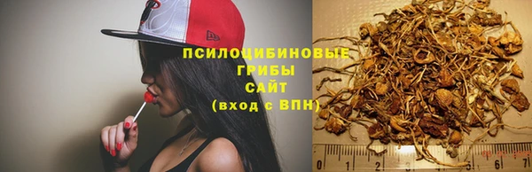 Альфа ПВП Абдулино